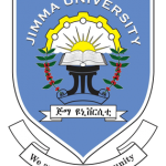 Jimma University Ethiopia Job Vacancy