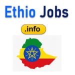 Addis Ababa City Government Peace and Security Office Job Vacancy