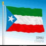 Somali Reginal State Job Vacancy