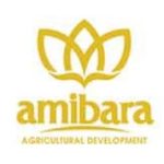 Amibara Agricultural Development PLC Job Vacancy