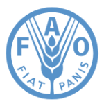 FAO Job Vacancy 2025 1